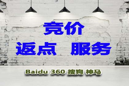 SEM代理助力品牌：案例解析与优化策略